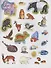 Животные. Играй и приклеивай - 2