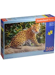 Пазл Castorland MIDI Маленький ягуар 260эл. B-27392