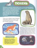 Животные для самых маленьких - 2