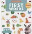 First Words. Clever Encyclopedia - 0