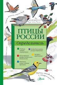 Птицы России.Определитель