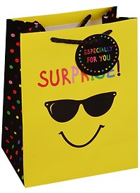 Пакет подарочный бумажный А5 23*18*10 "Cool guy", нейтр, мат. ламинат, Kairui