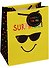 Пакет подарочный бумажный А5 23*18*10 "Cool guy", нейтр, мат. ламинат, Kairui - 0