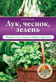 Лук, чеснок, зелень