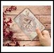 Обложка для паспорта (29069) (133х191) (ПВХ)