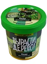 Набор для выращивания растений, Вырасти, Дерево! Кедр дальневосточный zk-070
