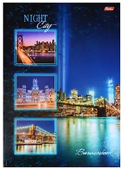Книга для записей А4 120 листов клетка "Ночной город"