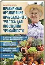 Правильная организация приусадебного участка для повышения урожайности