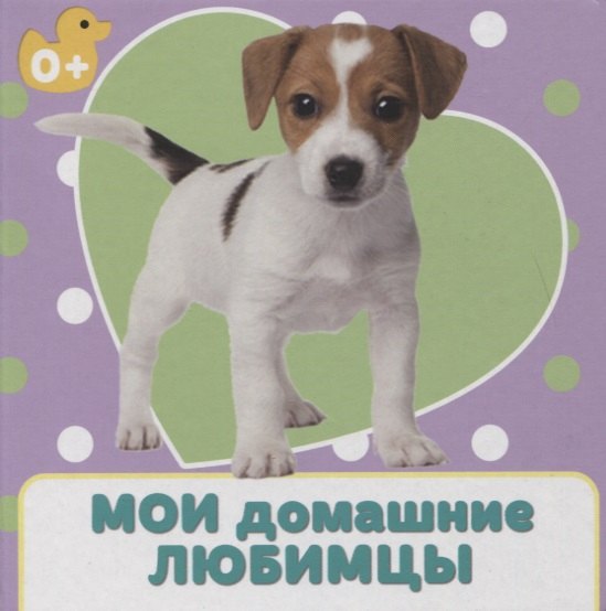 

Мои домашние любимцы