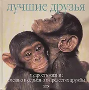 Лучшие друзья. Мудрость жизни: Смешно и серьезно о прелестях дружбы