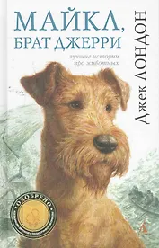 Майк, брат Джерри: Роман