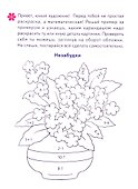 Раскраски: Букашки, Во саду ли в огороде, Цветы (комплект из 3 книг) - 1