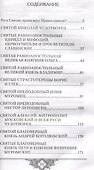 Россию спасет святость: Очерки о русских святых - 1