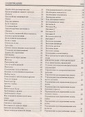 Энциклопедия молодой мамы (Энц.) Зайцев (18+) - 2