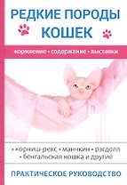 Редкие породы кошек