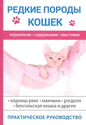 Редкие породы кошек
