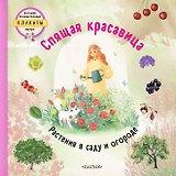 Спящая красавица