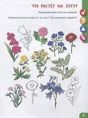 Удивительное рядом. Ребенок и окружающий мир. Альбом наблюдений. 5-6 лет - 1
