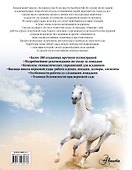 Лошади. Большая энциклопедия(2-ое издание) - 1