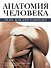 Анатомия человека - 0