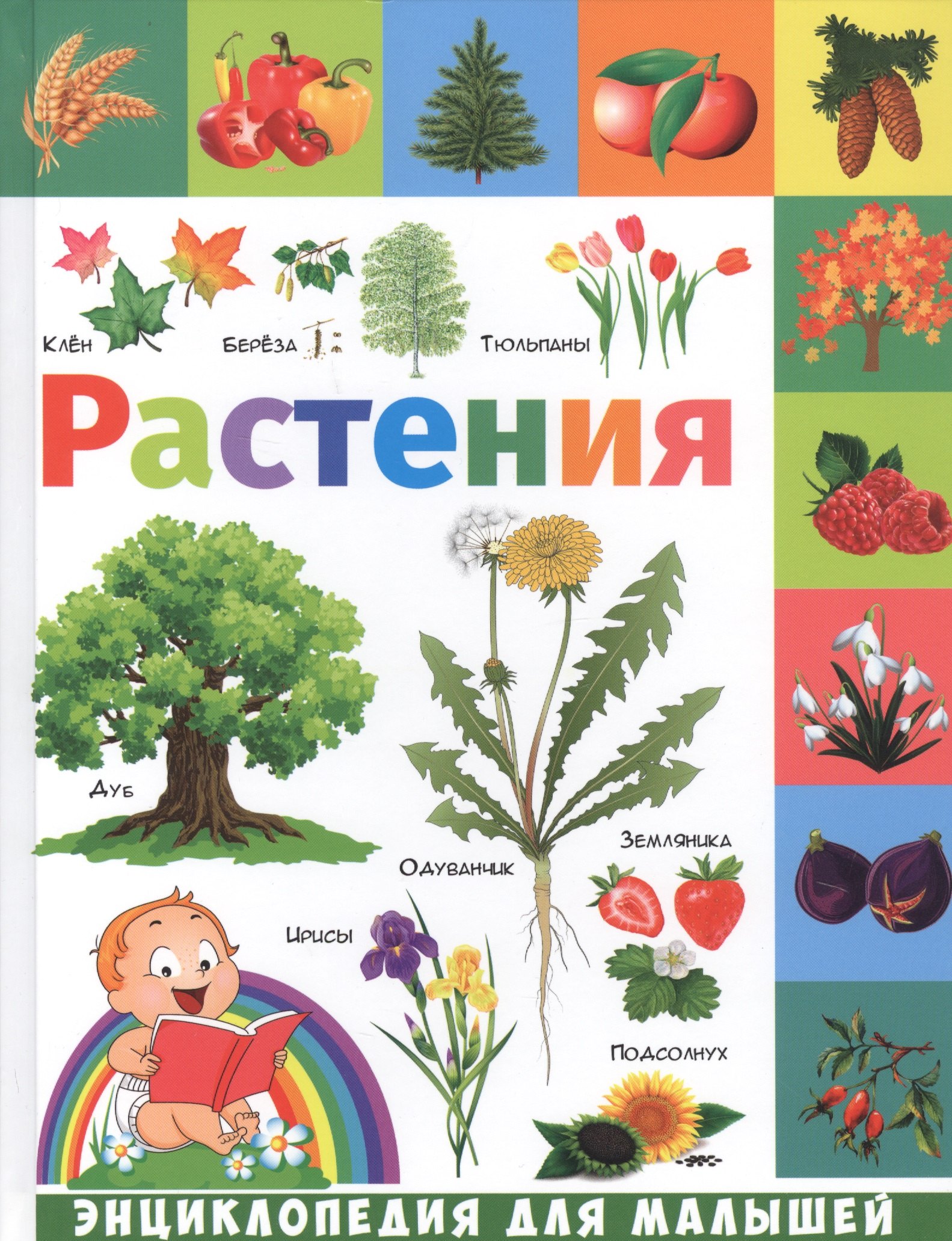 

Растения