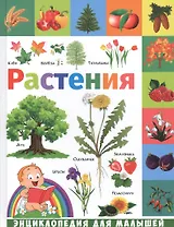 Растения