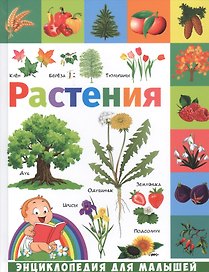 Растения