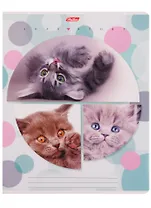 Тетрадь в клетку Hatber, "Веселый горошек", 24 листа, в ассортименте