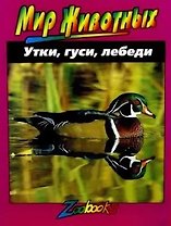 Мир животных: Утки, гуси, лебеди