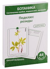 Ботаника. Систематика грибов, водорослей, растений. Подкласс розиды. 44 карточки