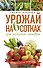 Урожай на 6 сотках для разумно ленивых - 0