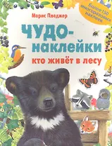 Кто живет в лесу