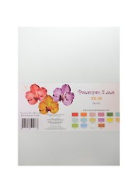 Фоамиран Рукоделие (F2-15) (белый) (5 листов) (2мм) (21х29,7см) (упаковка)