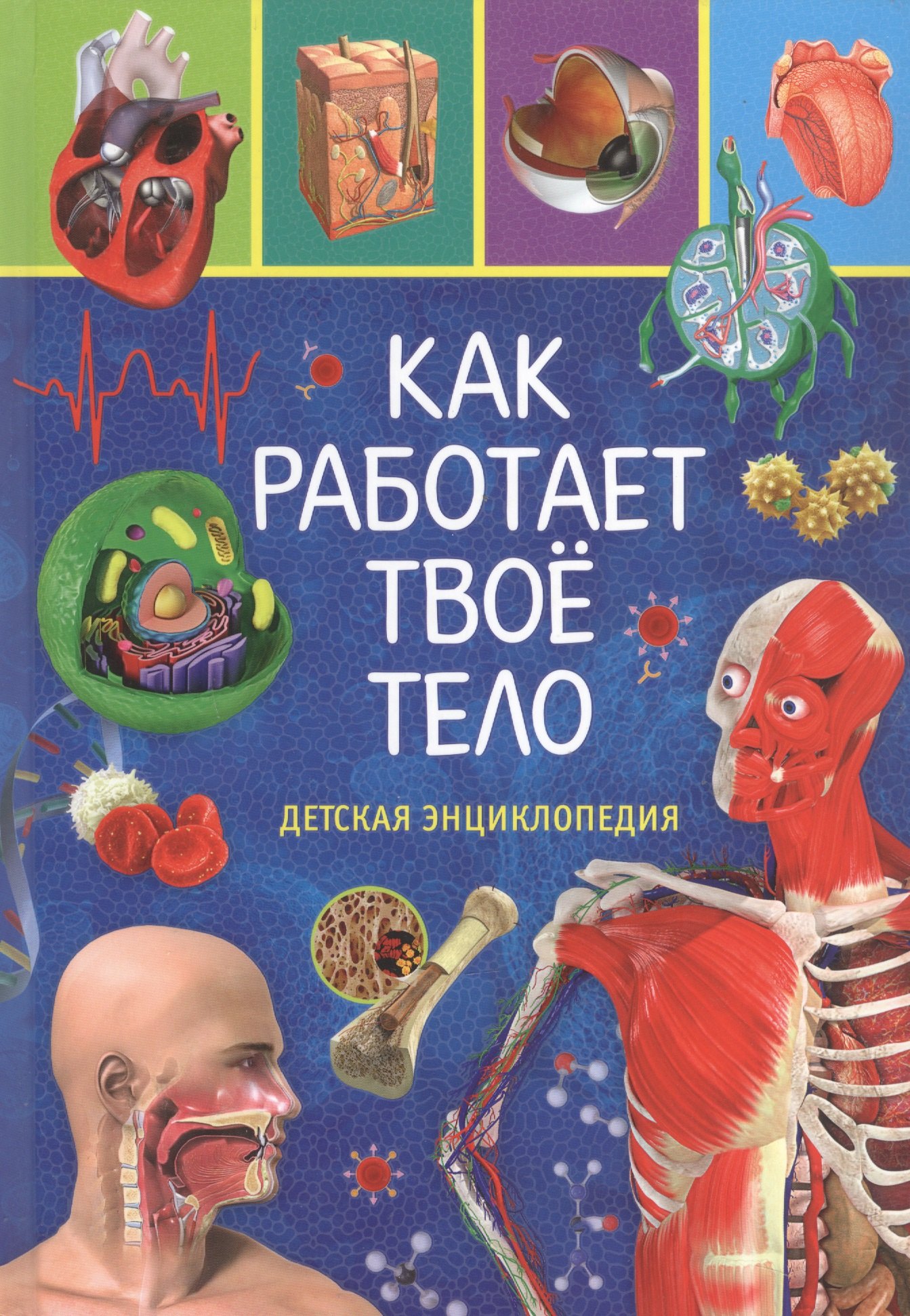 

Как работает твоё тело. Детская энциклопедия