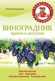 Виноградник.Просто и доступно