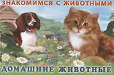 Домашние животные