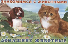Домашние животные