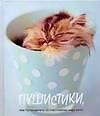 Пушистики, или Путеводитель по счастливому миру котят