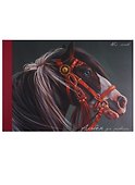 Альбом для рисования «Грациозный конь» Unnika А4, 40 листов, склейка - 0