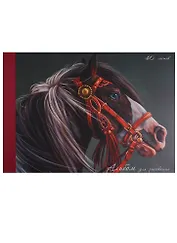 Альбом для рисования Unnika, "Грациозный конь", А4, 40 листов, на склейке
