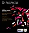 3D-раскраски - 1