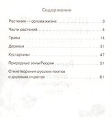 Растения: деревья, кустарники, травы. Школьный справочник для начальных классов - 1
