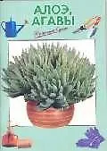 Алоэ, агавы