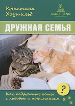 Дружная семья. Как подружить кошек с любовью и пониманием?