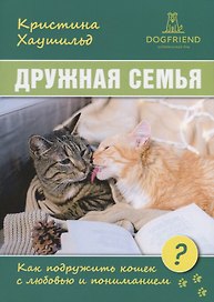 Дружная семья. Как подружить кошек с любовью и пониманием?