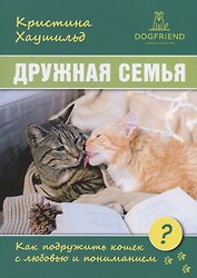 Дружная семья. Как подружить кошек с любовью и пониманием?