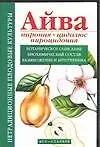 Айва