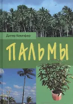 Пальмы