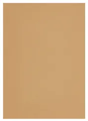 SADIPAL Картон А4 охра 07912