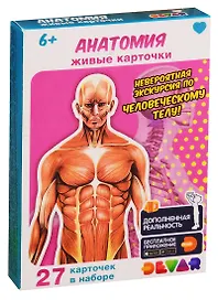 Живые карточки. Анатомия